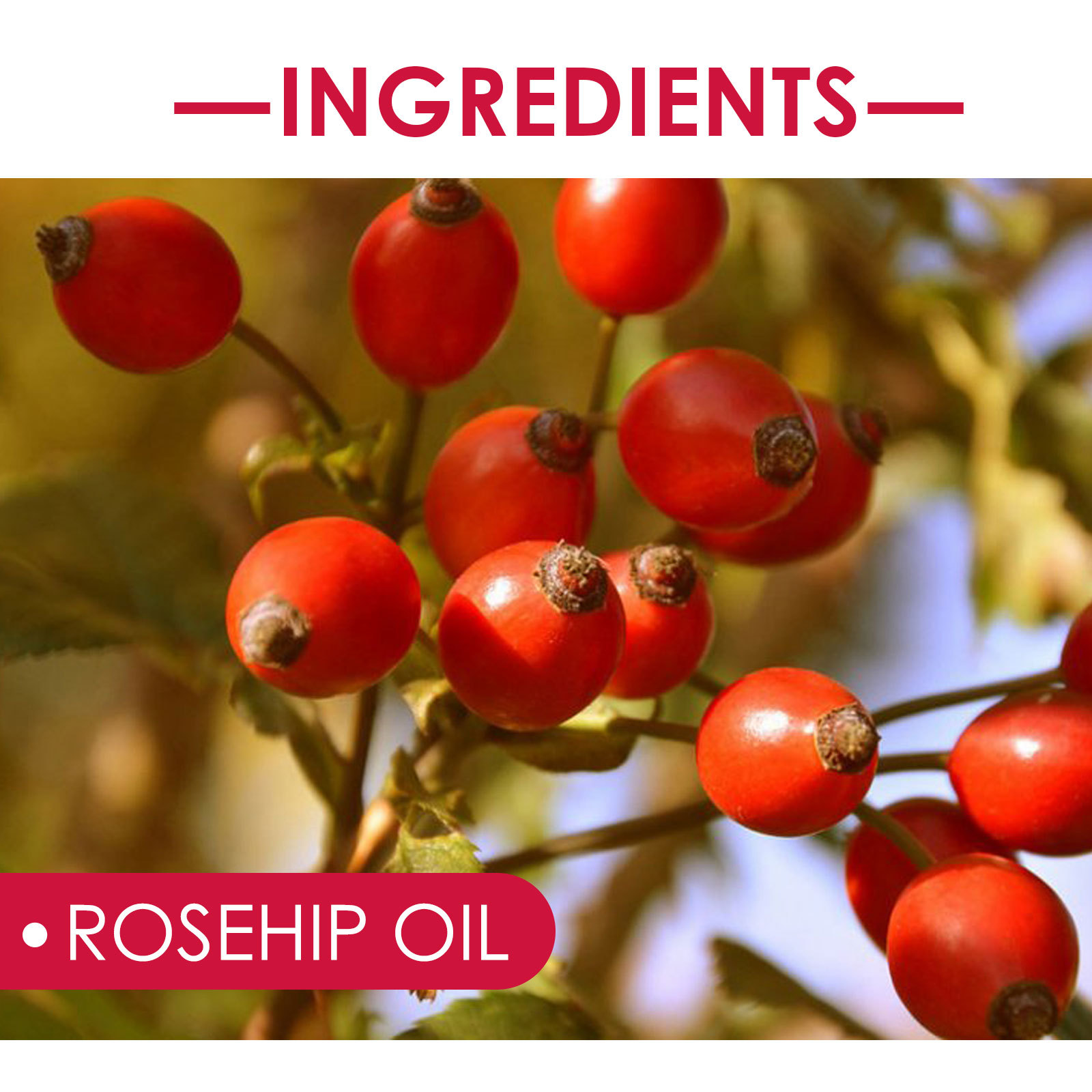 EELHOE Rosehip Oil – Hydrating & Nourishing for Skin and Hair - Image 4