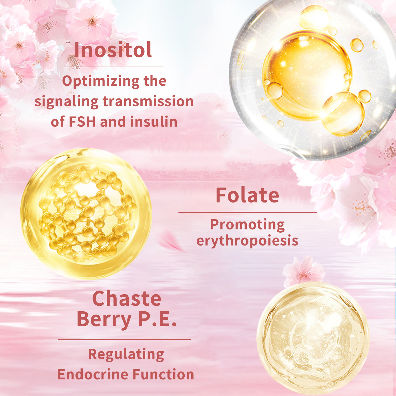 Women's Skincare Vitamin Capsules - Image 4